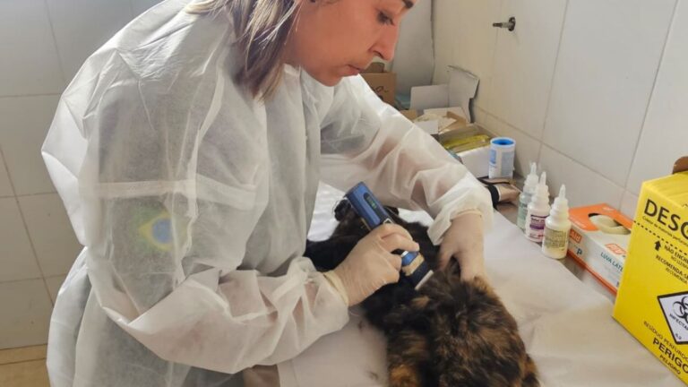 Ribeirão Pires recebe mutirão gratuito de castração para cães e gatos no dia 9 com inscrições presenciais já abertas