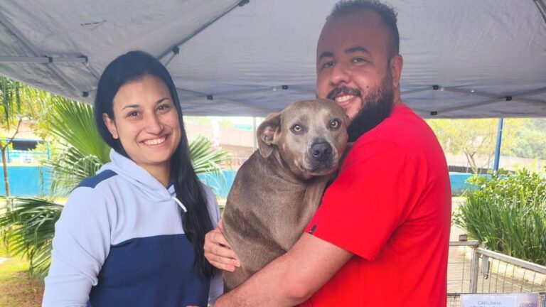 Cinco cães ganham novos lares em ações promovidas pela Prefeitura de Mauá