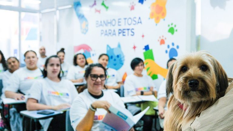 Ribeirão Pires abre inscrições para curso gratuito de Banho e Tosa